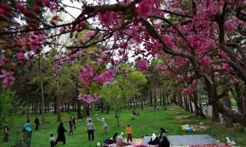 تمهیدات گسترده‌ شهرداری مشهد برای روز طبیعت