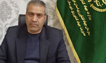 تداوم مبارزه با ملخ‌ها در مزارع گناباد