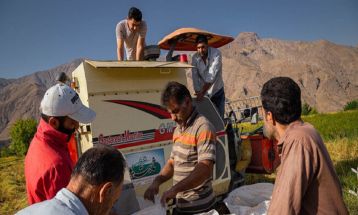 محصولات کشاورزی تربت‌جام در مسیر برند‌سازی و صادرات