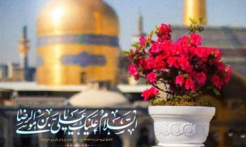 امام رضا (ع) واسطه رسیدن به رضوان است