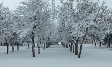 بارش ۳۲ سانتی‌متر برف در شهرستان قوچان