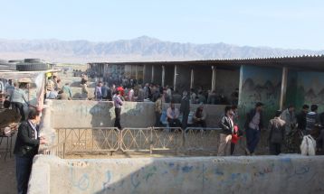 کشتار غیرمجاز؛ زخم پنهان کشتارگاه کاشمر