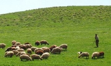 سبزینگی ۹۰ درصدی پروژه مشارکتی مرتع خلیل‌آباد