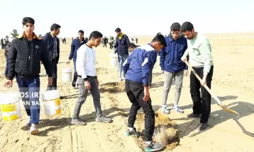 کاشت ۳۰ هزار نهال تاغ در سرخس
