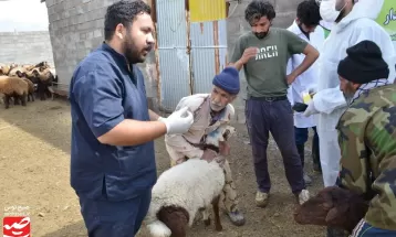 برگزاری اردوی جهادی دامپزشکی در کاشمر