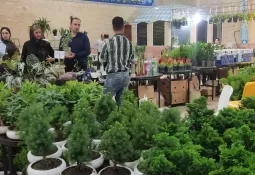 لحظاتی از کافه گفتگو در جمعه بازار تربتحیدریه