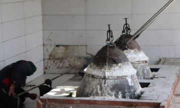 آغاز برداشت گل محمدی در تربت‌جام