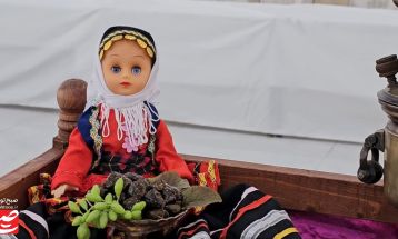 برگزاری دهمین جشنواره تاک‌پلو در خلیل‌آباد