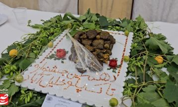 برگزاری دهمین جشنواره تاک‌پلو در خلیل‌آباد